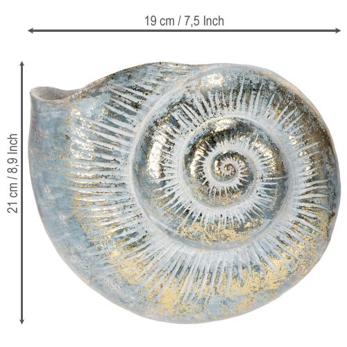 Product Decorative snail-shaped container for maritime and natural wall design, grey, 21cm