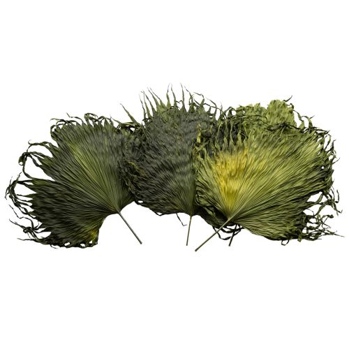 Product Palm frond decoration for exotic arrangements and table decoration