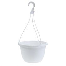 category Hanging plant pots