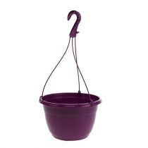 category Hanging plant pots