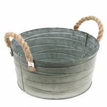 category Buckets & bowls