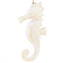 Product Pendant seahorse decoration white, maritime decoration H23cm