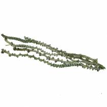 Product Banana Stem Deco Branch Green, white washed 20 pcs