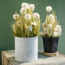 Product Planter Dandelion Flowerpot White Ø12.5cm H14cm