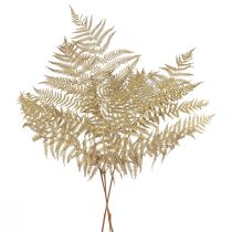 Product Dried flowers decoration fern dried fern leaves 70cm 10pcs