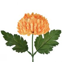 Product Chrysanthemum Orange Ø7cm L18cm 1 pc