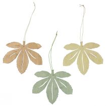 Product Decorative hanger wooden autumn leaves green natural brown 12x10cm 12pcs