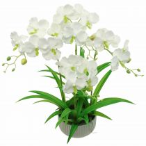 Product Artificial Orchids Artificial Flowers in Pot White 60cm