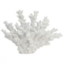 Product Maritime decoration coral polyresin white 18.5×26cm