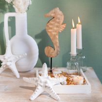 Product Maritime decoration seahorse on stand mango wood natural 29,5cm