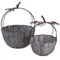 Plant bowl metal pumpkin decorative pot zinc Ø21/30cm set of 2pcs