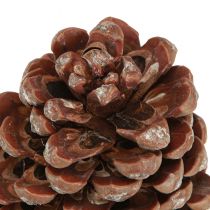 Product Pine cones natural large decorative pine cones 8-9cm 3 pcs