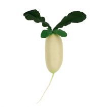 Product Radish white with leaves 12cm 3pcs