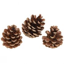 Product Black pine cones natural decorative pine cones 5-8cm 250g