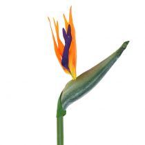 Product Strelitzia bird of paradise flower artificial 98cm