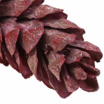 Product Strobus cones natural decoration red 15cm - 20cm 50pcs