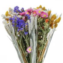Product Dried flower bouquet straw flowers sea lavender phalaris grain 55cm