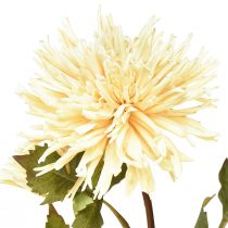 Product Chrysanthemum Cream Artificial Flower with 2 Flowers L70cm