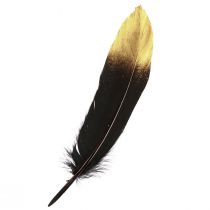 Product Decorative Feathers Black Gold Real Goose Feathers 15-20cm 50pcs