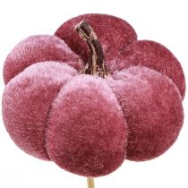 Product Decorative pumpkin made of fabric pumpkin on a stick burgundy pink Ø7cm 9pcs