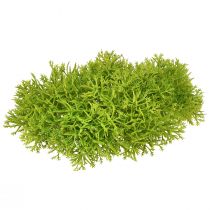Decorative moss artificial green – moss cushion 10/12/14cm 3 pcs