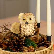 Product Owl decoration figures autumn with cones 12.5×10×10cm 2pcs