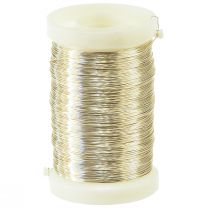 Florist wire myrtle wire champagne 0.30mm 100g 3pcs