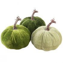 Product Autumn decoration pumpkin light green dark green Ø13cm 3 pcs