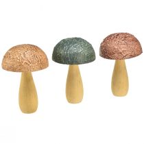 Wooden mushrooms decoration mushrooms autumn decoration wood assorted 11×7.5cm 3pcs