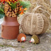 Product Hedgehog decoration wooden figure autumn orange yellow 8×7×6cm 4pcs