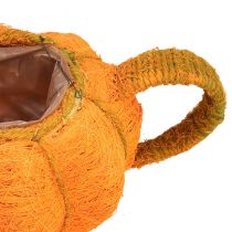 Product Jug for planting pumpkin decoration orange/yellow-green Ø13cm