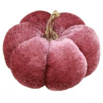 Product Pumpkin made of fabric decoration velvet burgundy pink Ø7cm 9 pcs