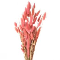 Product Lagurus Dried Hare&#39;s Tail Grass Pink L45cm 50g