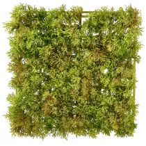 Product Moss artificial moss mat – perfect for moss picture light green 25×25cm