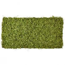 Product Moss mat artificial moss for moss picture green 100×50cm