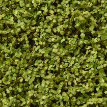 Product Moss mat artificial moss for moss picture green 100×50cm