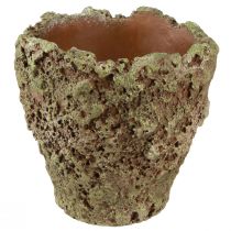 Plant pot rustic planter moss look Ø17cm H16.5cm 4pcs