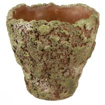 Plant pot rustic planter green brown Ø21cm H19,5cm