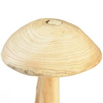 Product Natural mushroom sculpture made of elm wood – Rustic design, 37 cm – Stylish garden and interior decoration