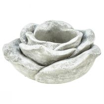 Product Rose grave decoration table decoration candle holder grey white Ø14cm H7cm