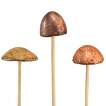 Product Rustic ceramic mushrooms on a stick – atmospheric autumn decoration 4cm 6pcs