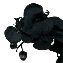 Product Orchid to decorate Black 54cm