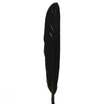 Product Black Feathers Decorative Goose Feathers Black 11-14cm 180pcs
