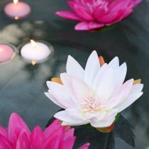 Product Floating water lily artificial table decoration white, pink Ø15cm