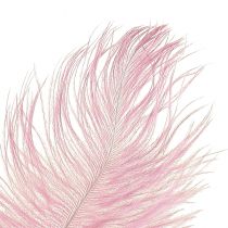 Product Ostrich Feathers Real Feathers Decoration Pink 20-25cm 12pcs