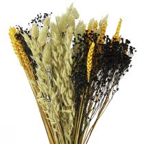 Dried flower bouquet grain dried bouquet yellow blue 50cm