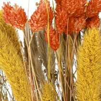 Product Dried flower bouquet with grain orange yellow 50cm