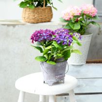 Product Planter Metal Oval Purple White Bowl with Base H14cm