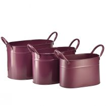 Product Planter metal oval plant pot purple 24/21/18cm set of 3