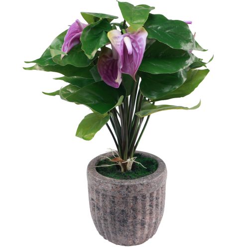 Product Artificial flowers Artificial Anthuriums Artificial plants in pot 41cm